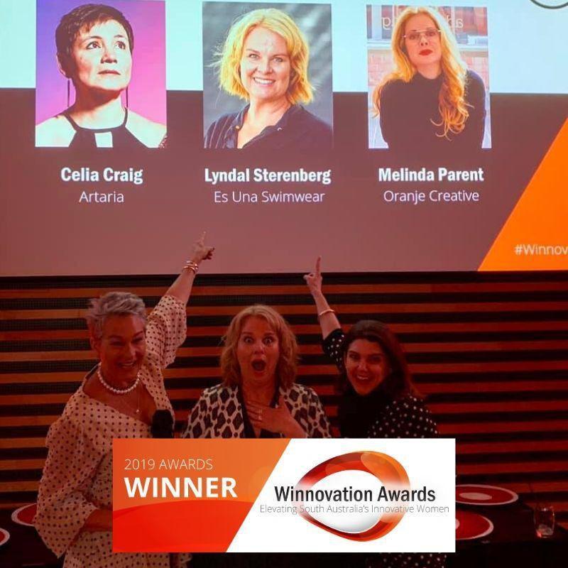 Winner of 2019 Winnovation Awards for Arts